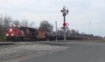 CN U261